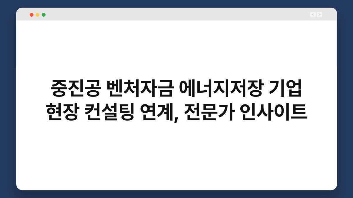 중진공 벤처자금 에너지저장 기업 현장 컨설팅 연계, 전문가 인사이트 1