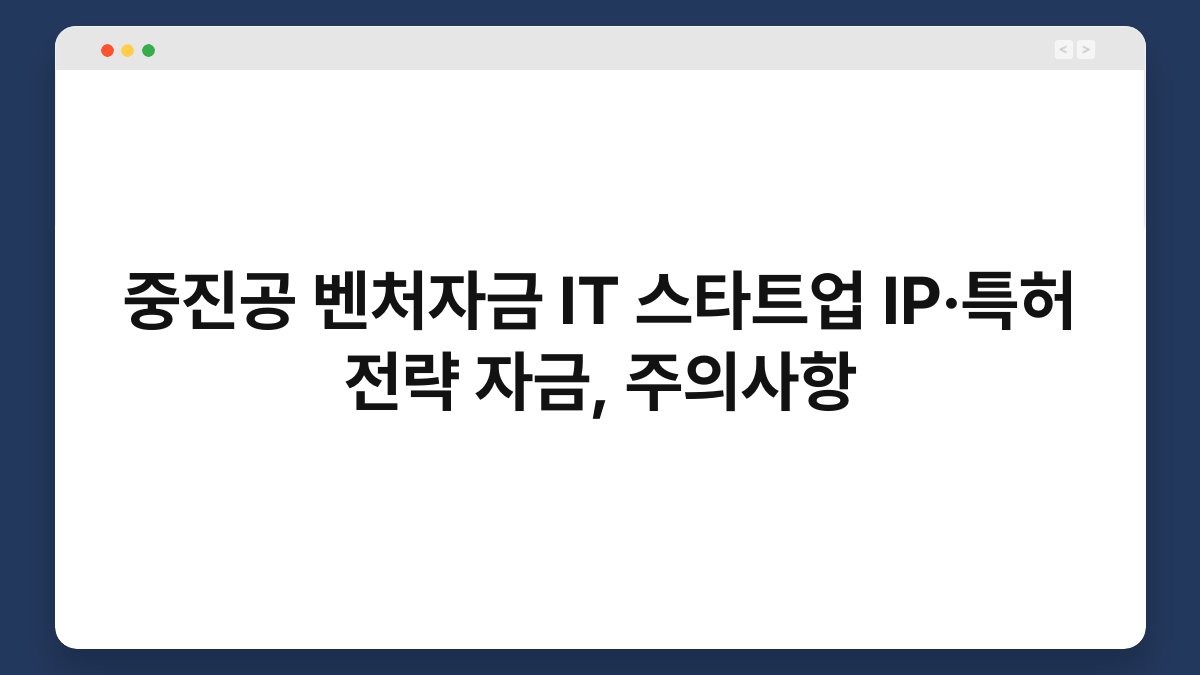 중진공 벤처자금 IT 스타트업 IP·특허 전략 자금, 주의사항 1