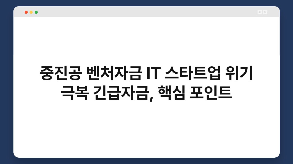 중진공 벤처자금 IT 스타트업 위기 극복 긴급자금, 핵심 포인트 1