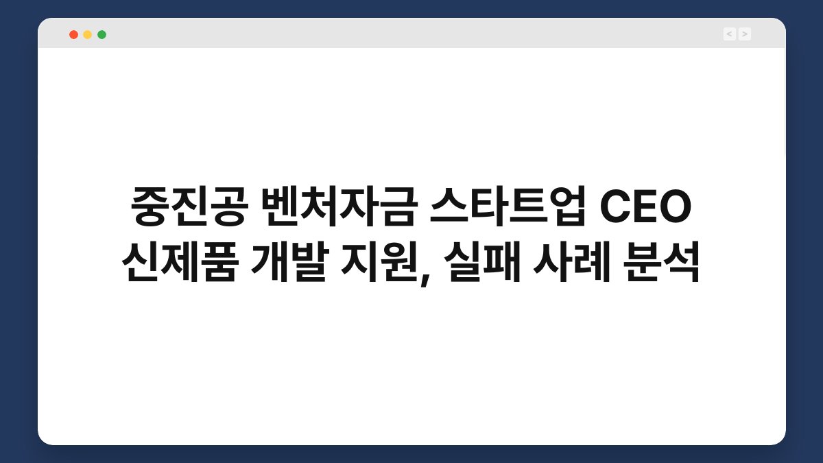 중진공 벤처자금 스타트업 CEO 신제품 개발 지원, 실패 사례 분석 1