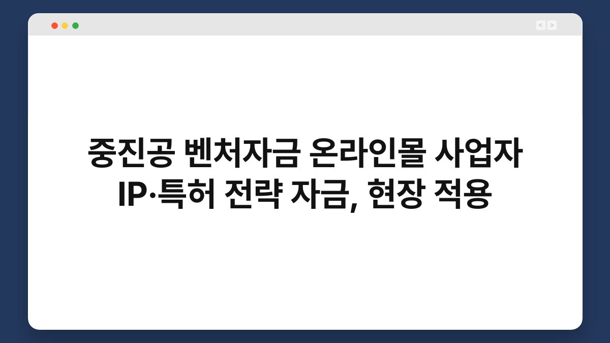 중진공 벤처자금 온라인몰 사업자 IP·특허 전략 자금, 현장 적용 1