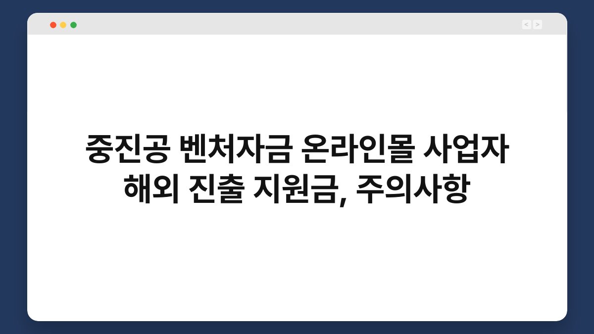 중진공 벤처자금 온라인몰 사업자 해외 진출 지원금, 주의사항 1