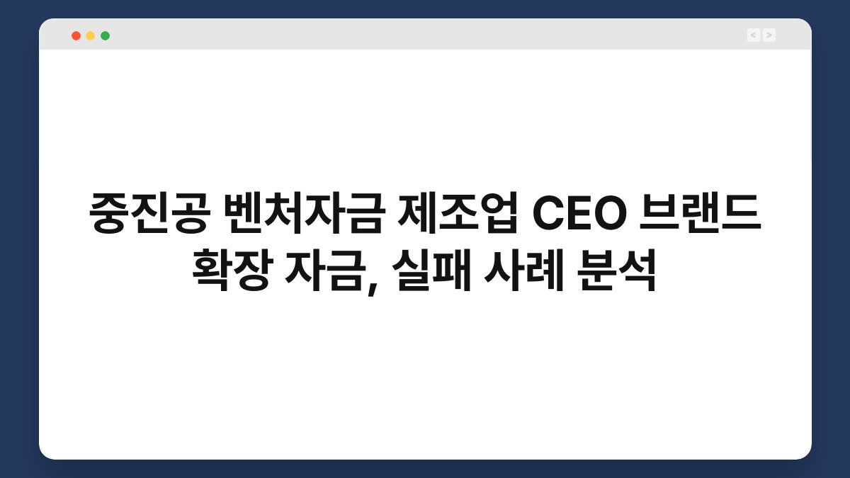 중진공 벤처자금 제조업 CEO 브랜드 확장 자금, 실패 사례 분석 1