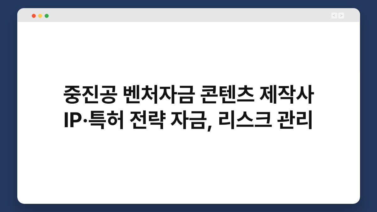 중진공 벤처자금 콘텐츠 제작사 IP·특허 전략 자금, 리스크 관리 1