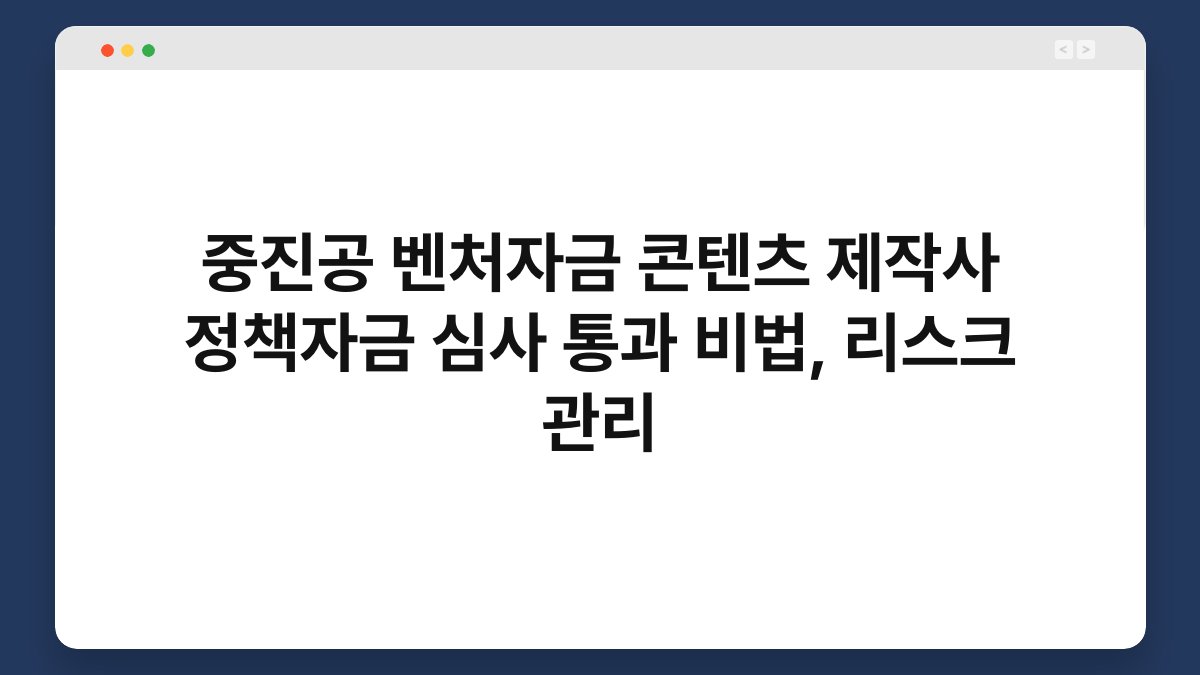 중진공 벤처자금 콘텐츠 제작사 정책자금 심사 통과 비법, 리스크 관리 1