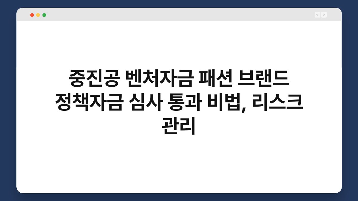 중진공 벤처자금 패션 브랜드 정책자금 심사 통과 비법, 리스크 관리 1